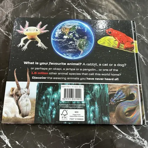 What on Earth? listing photo 3