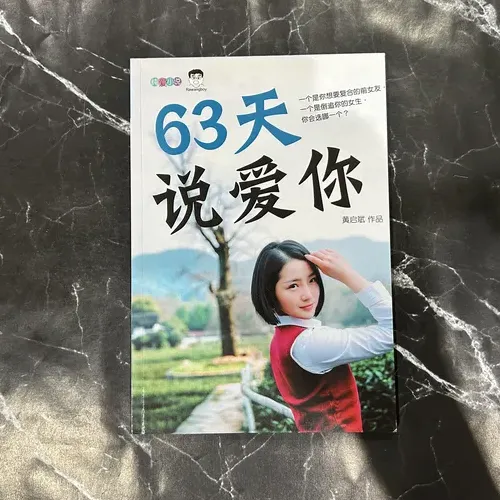 63天说爱你 cover