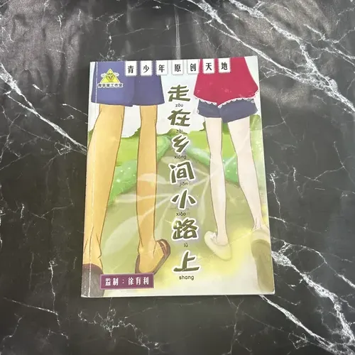 走在乡间小路上 cover