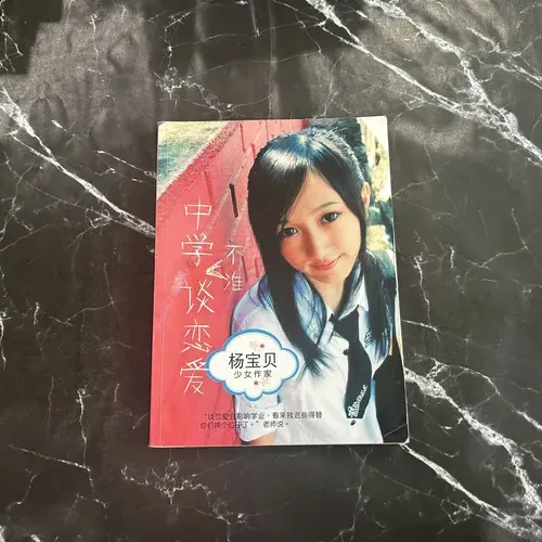 中学不准谈恋爱 cover