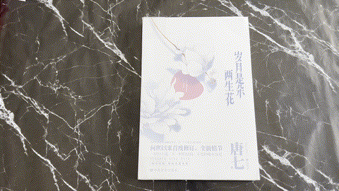 岁月是朵两生花 listing photo 1