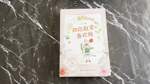 劝你赶紧喜欢我（全2册） listing photo 1