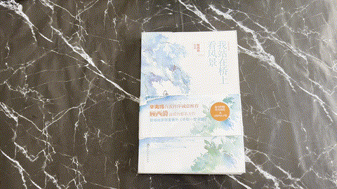 我站在桥上看风景（完美纪念版） listing photo 1