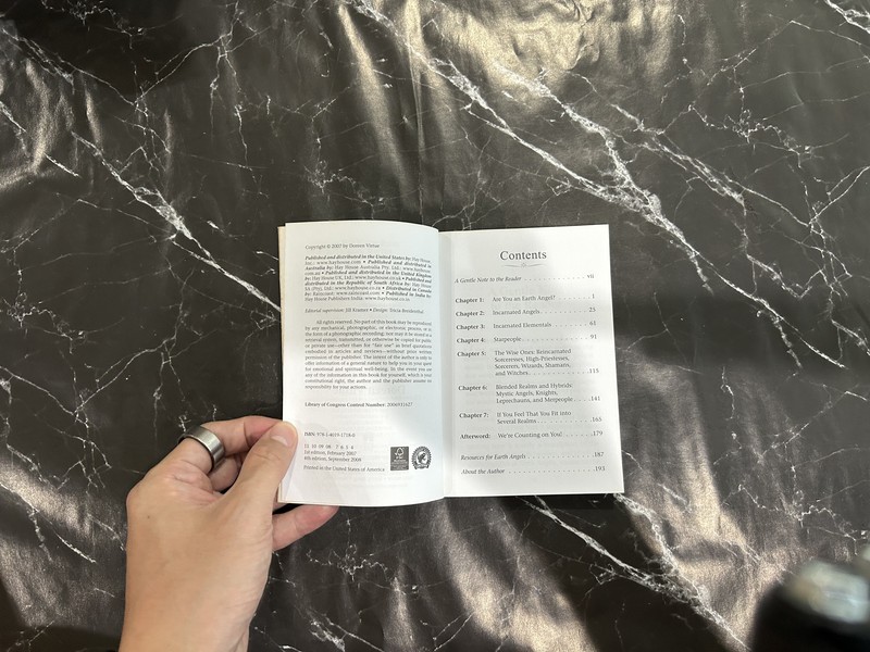 Realms of the Earth Angels: More Information for Incarnated Angels, Elementals, Wizards, and Other Lightworkers listing photo 2