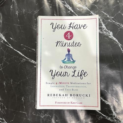 You Have 4 Minutes to Change Your Life: Simple 4-Minute Meditations for Inspiration, Transformation, and True Bliss listing photo 1