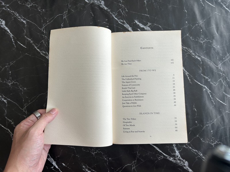 More Together Than Alone: Discovering the Power and Spirit of Community in Our Lives and in the World listing photo 3