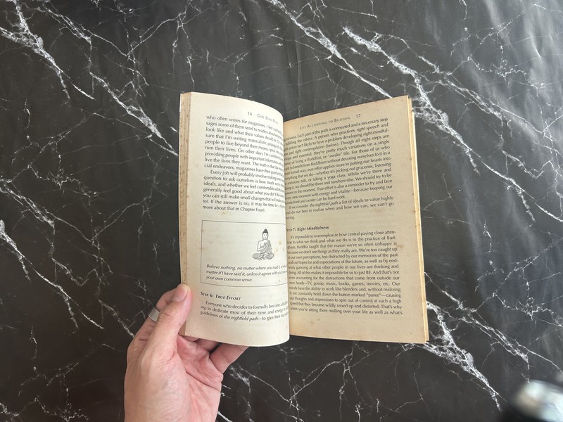 Girl Seeks Bliss : Zen and the Art of Modern Life Maintenance listing photo 2