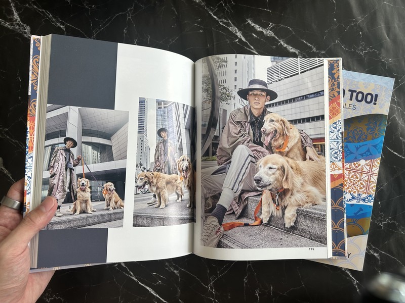 We Adopted! : A Collection of Dog Rescue Tales listing photo 2