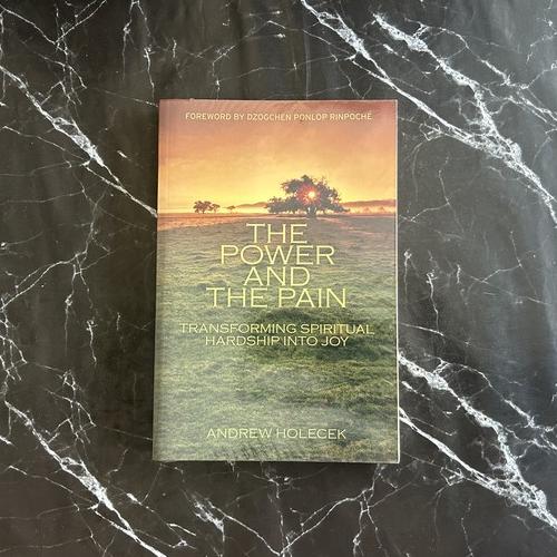 The Power and the Pain: Transforming Spiritual Hardship into Joy listing photo 1