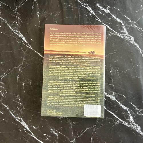 The Power and the Pain: Transforming Spiritual Hardship into Joy listing photo 3