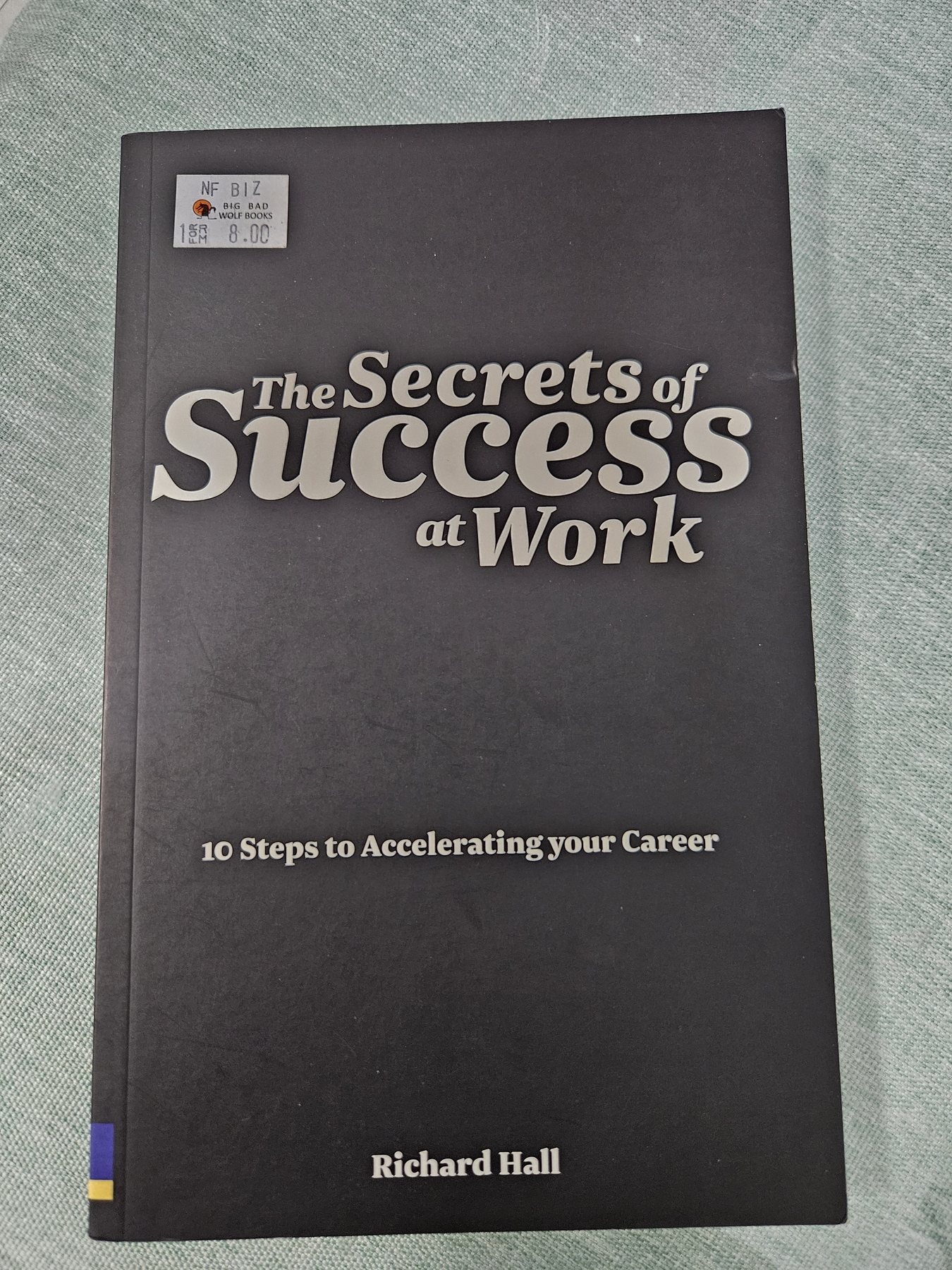 The Secrets of Success at Work: 10 steps to accelerating your career cover