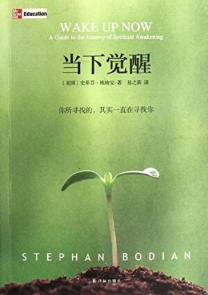 当下觉醒：你所寻找的，其实一直在寻找你