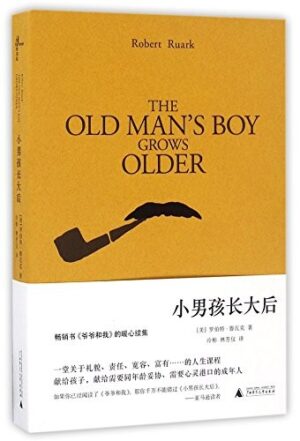 小男孩长大后