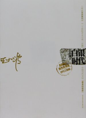 王小波作品系列：白银时代