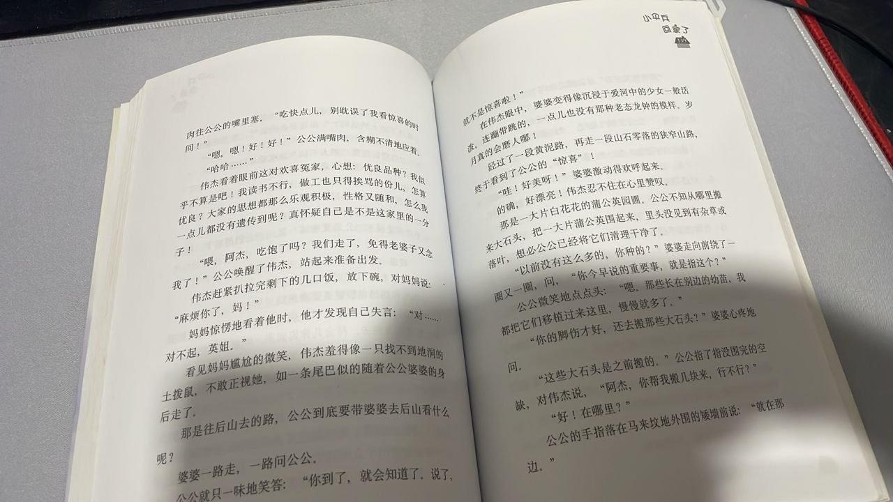 小伞兵回家了 listing photo 2