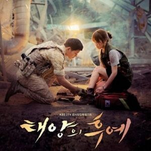 太阳的后裔：剧照写真书