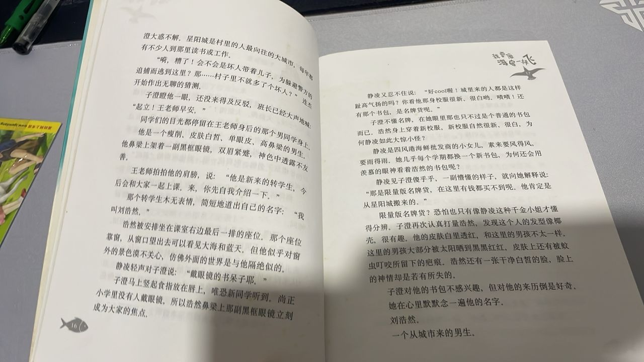 我要像海鸟一样飞 listing photo 2