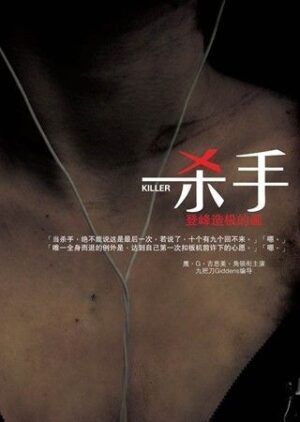 杀手，登峰造极的画（简体）