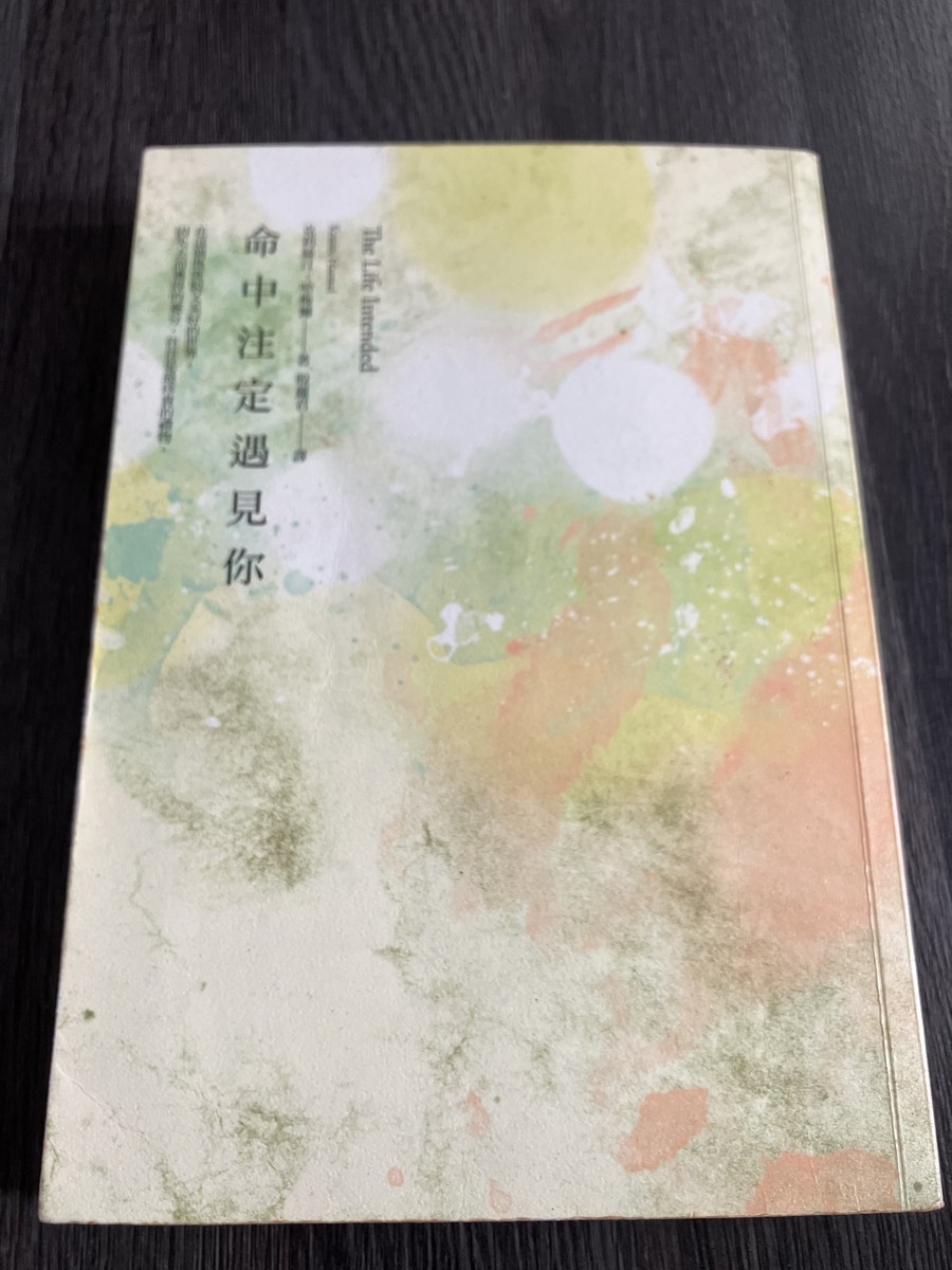 命中注定遇見你 cover