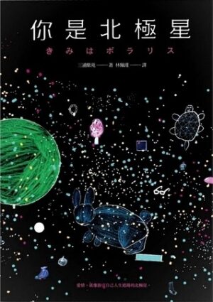 你是北極星