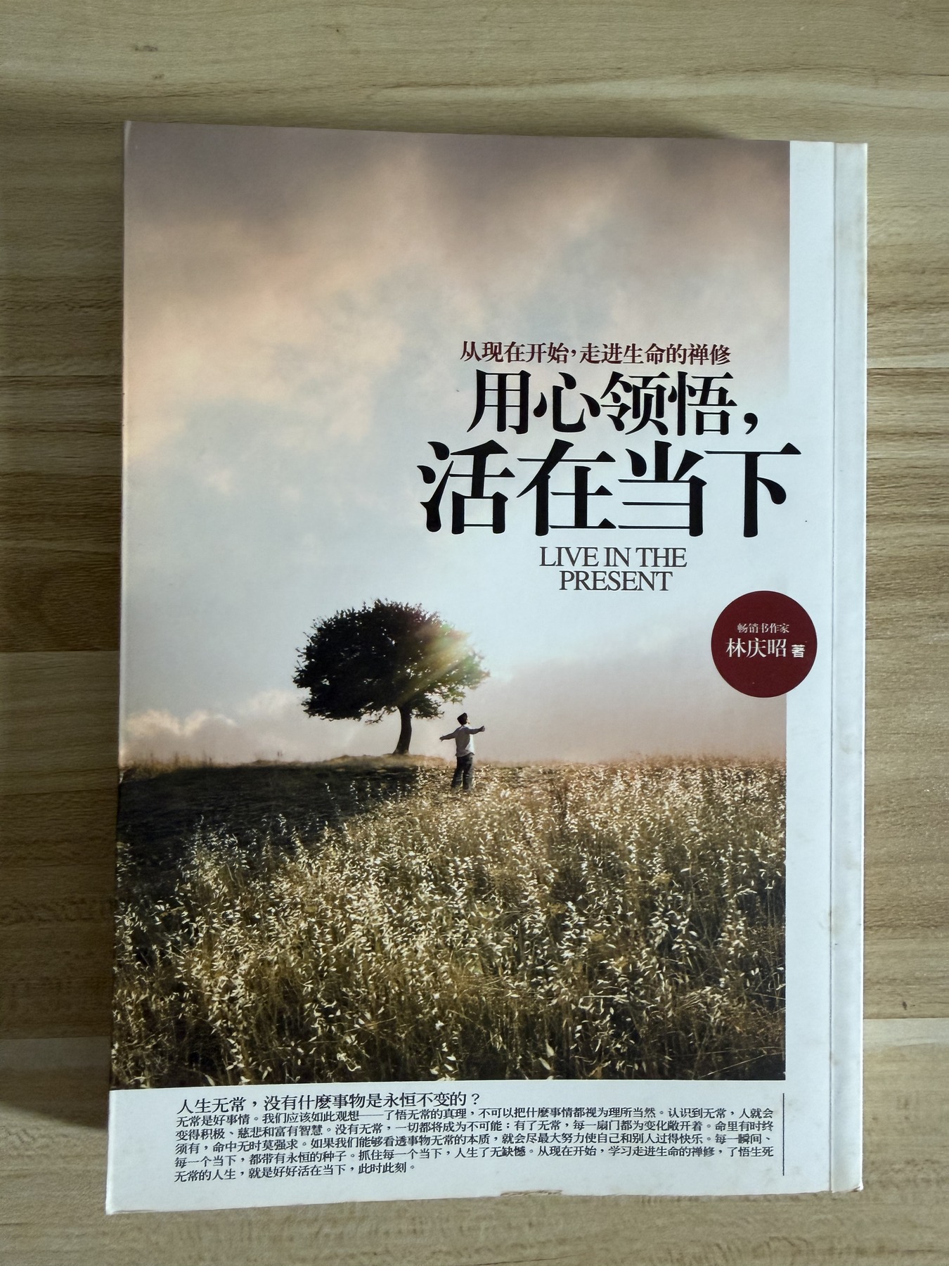用心領悟,活在當下 cover