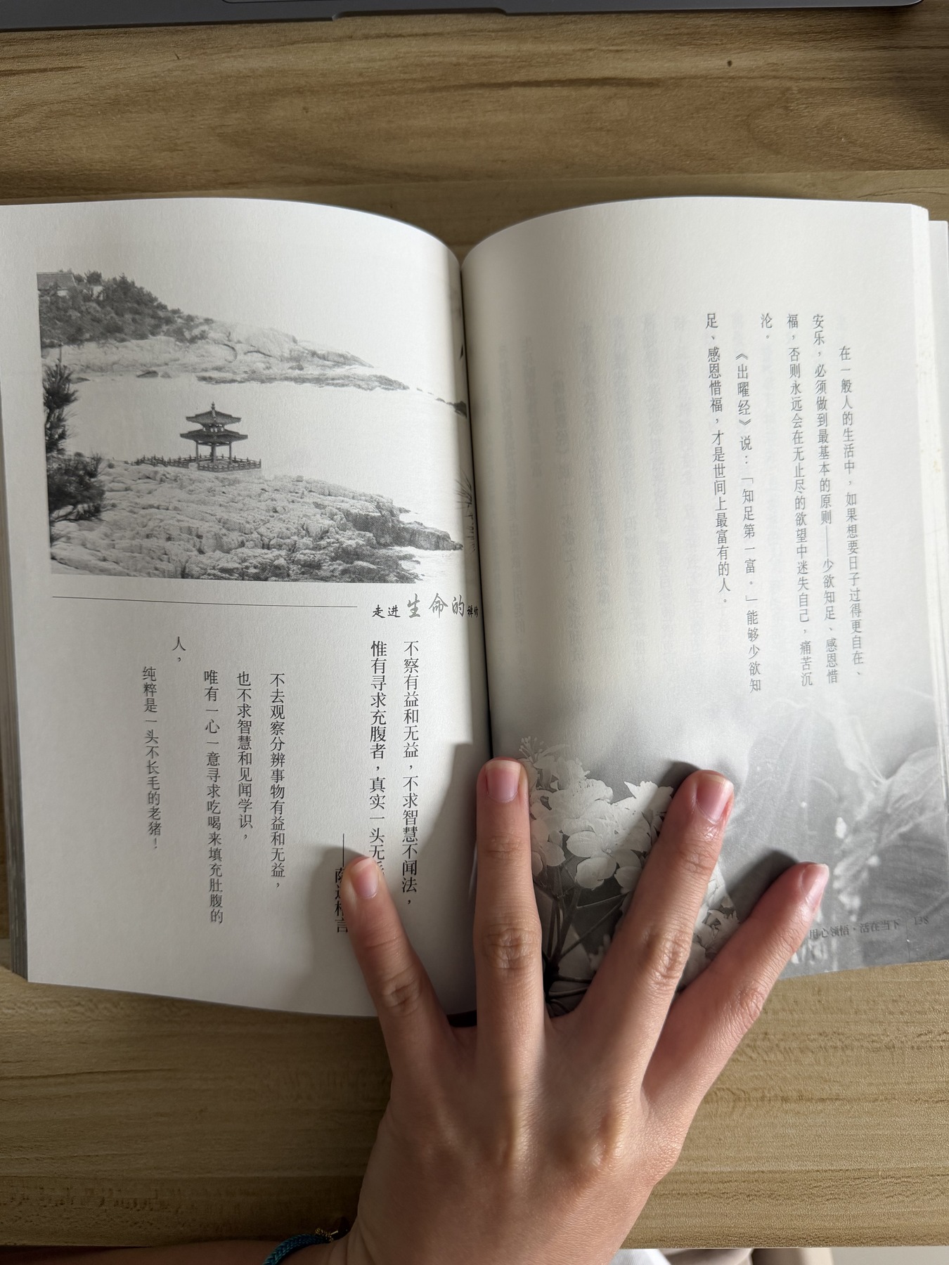 用心領悟,活在當下 — photo 2