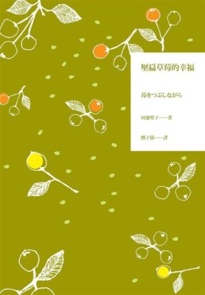 乃里子三部曲3：壓扁草莓的幸福