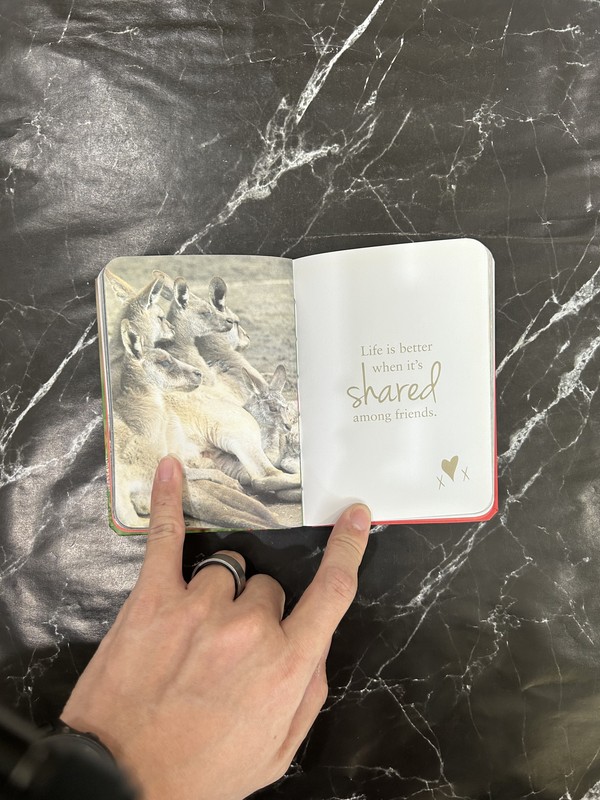 Hugs: A Photographic Celebration Of The Cutest Animal Couples listing photo 2