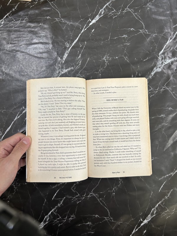 The Big Picture: 11 Laws That Will Change Your Life – A Self-Improvement Guide for People Who Want Results, Not Hand-Holding — photo 2