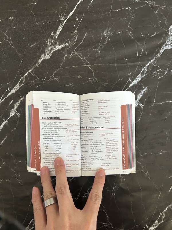 India Phrasebook & Dictionary listing photo 2