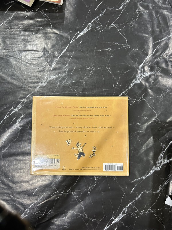 Guardians of Being listing photo 3