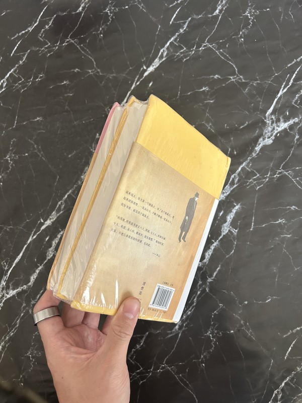 文学回忆录 listing photo 3