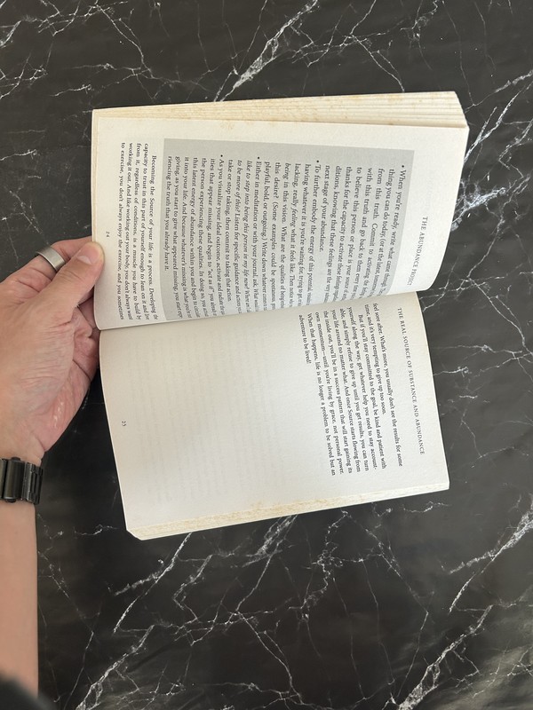 The Abundance Project: 40 Days to More Wealth, Health, Love, and Happiness listing photo 2