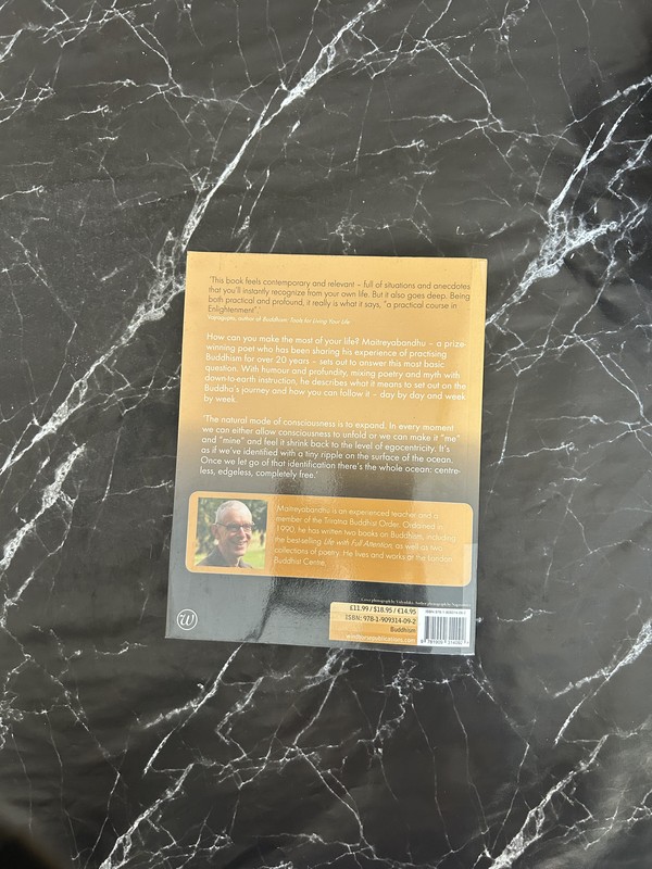 The Journey and the Guide: A Practical Course in Enlightenment listing photo 3