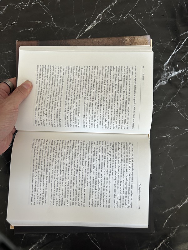 Inferno: An Anatomy of American Punishment listing photo 2