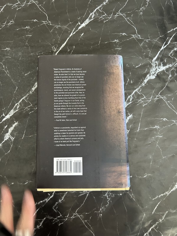 Inferno: An Anatomy of American Punishment listing photo 3